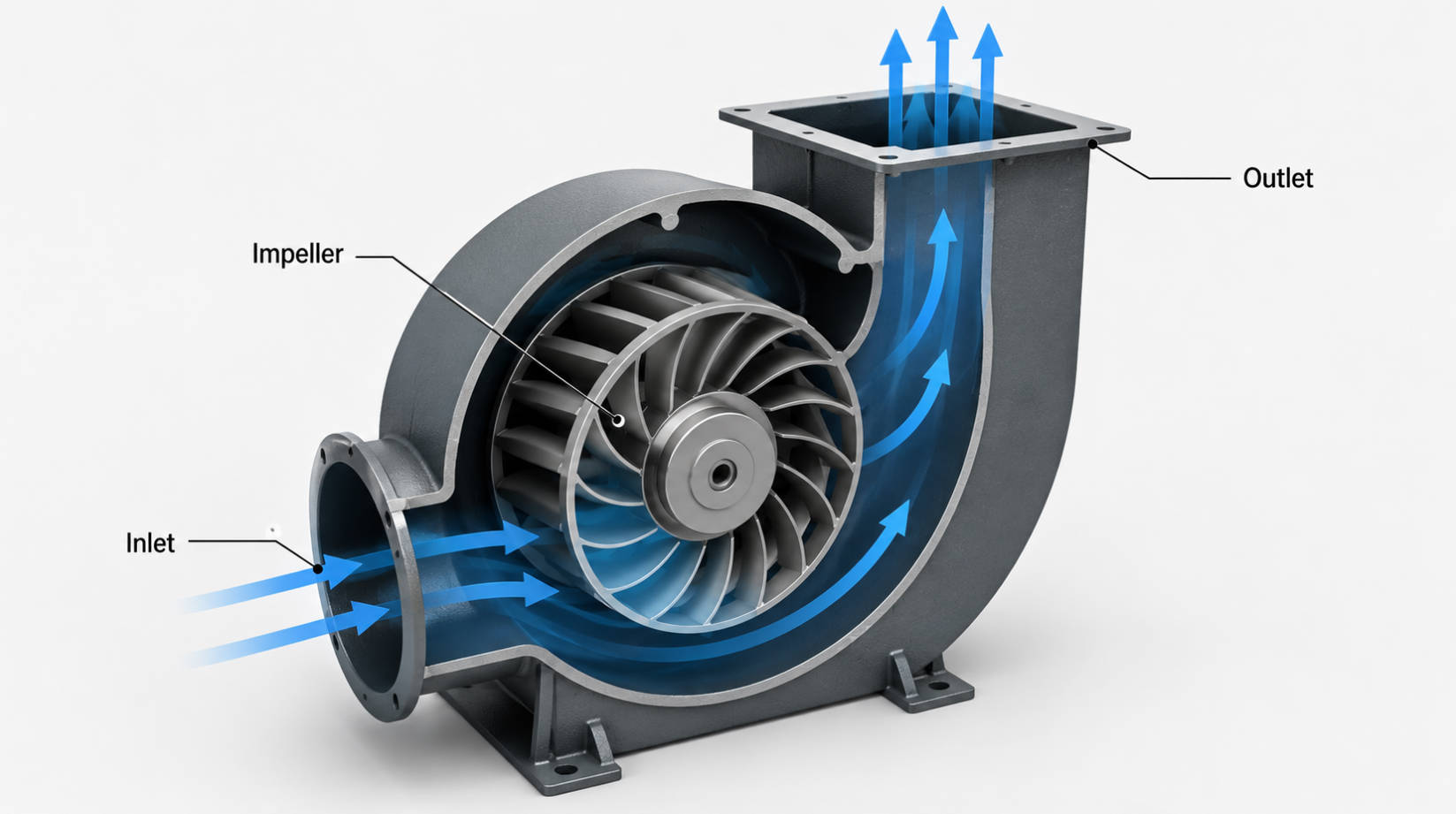 Centrifugal Fan Structure Illustration